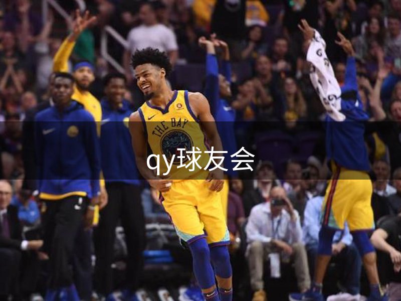 网站概况